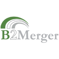 bel-online-project-b2merger